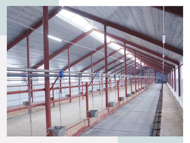 Строительство коровников в Воскресенске от 620 руб.