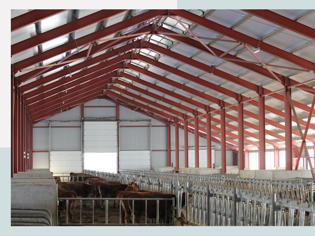 Строительство коровников в Воскресенске