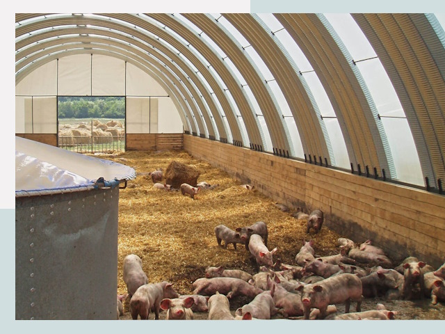 Строительство свинарников в Воскресенске