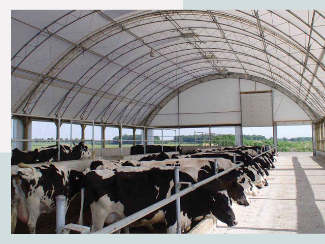 Тентовые коровники в Воскресенске